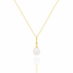 Sterling Silver Gold Vermeil Freshwater Pearl Charm Necklace (N-1583)