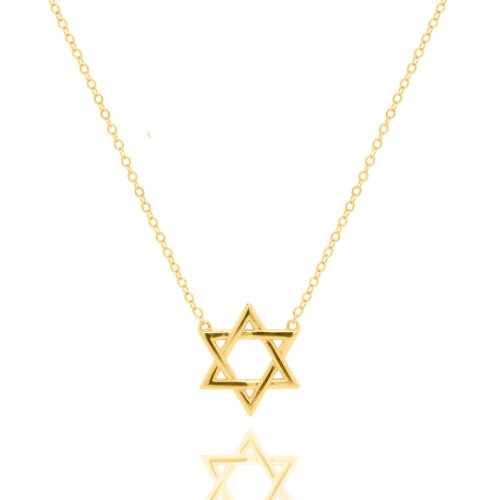 Sterling Silver Star of David Necklace (N-1584)