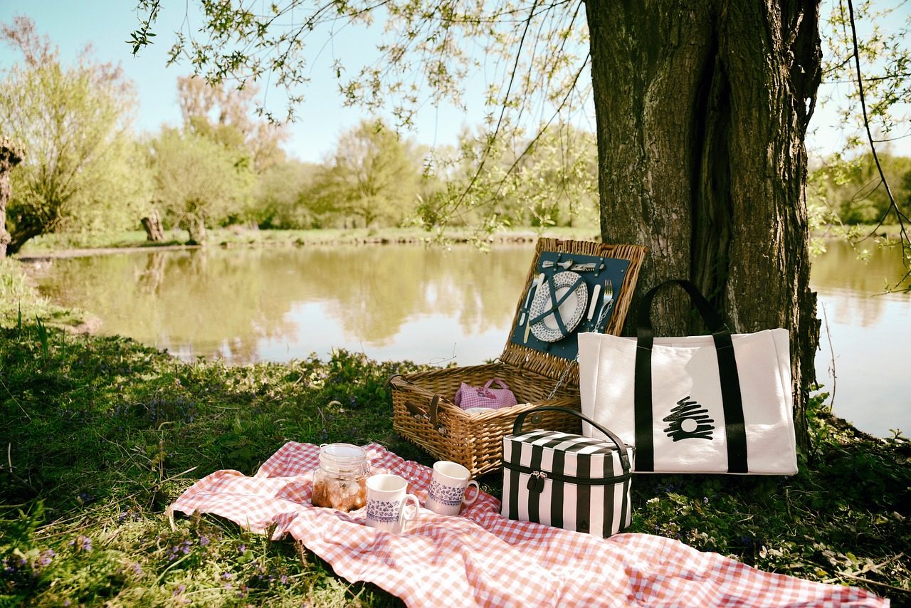 take dad on a picnic for father's day