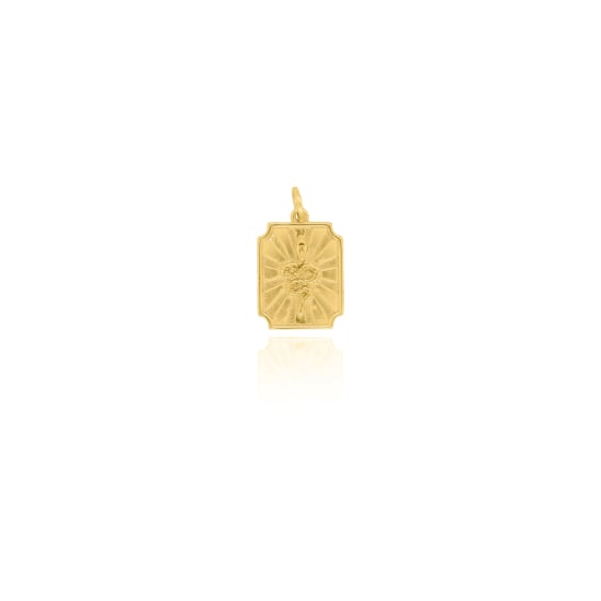 Sterling Silver Gold Vermeil Snake Medallion Charm (P-1508)