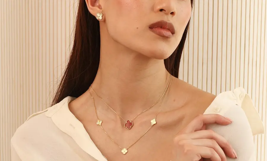 Collection image_3